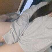 ヒメ日記 2025/03/31 11:00 投稿 ねこ ぽっちゃりきぶん