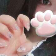 ヒメ日記 2025/04/04 12:30 投稿 ねこ ぽっちゃりきぶん