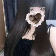 ヒメ日記 2025/04/05 12:45 投稿 ねこ ぽっちゃりきぶん