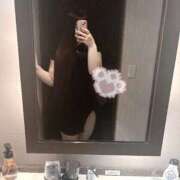 ヒメ日記 2025/04/06 12:15 投稿 ねこ ぽっちゃりきぶん