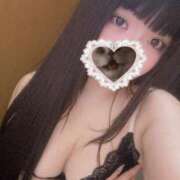 ヒメ日記 2025/04/07 12:01 投稿 ねこ ぽっちゃりきぶん