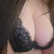 ヒメ日記 2025/04/09 12:00 投稿 ねこ ぽっちゃりきぶん