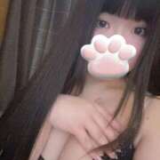 ヒメ日記 2025/04/10 15:08 投稿 ねこ ぽっちゃりきぶん