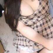 ヒメ日記 2025/04/10 17:25 投稿 ねこ ぽっちゃりきぶん