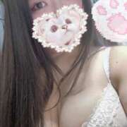 ヒメ日記 2025/04/11 17:32 投稿 ねこ ぽっちゃりきぶん