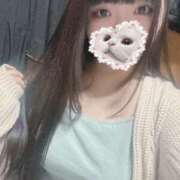 ヒメ日記 2025/04/12 13:04 投稿 ねこ ぽっちゃりきぶん