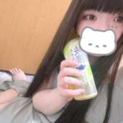 ヒメ日記 2025/04/12 15:30 投稿 ねこ ぽっちゃりきぶん