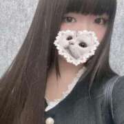 ヒメ日記 2025/04/17 15:14 投稿 ねこ ぽっちゃりきぶん