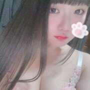 ヒメ日記 2025/04/24 14:59 投稿 ねこ ぽっちゃりきぶん