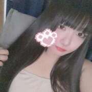 ヒメ日記 2025/05/02 17:25 投稿 ねこ ぽっちゃりきぶん