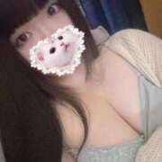 ヒメ日記 2025/05/06 13:13 投稿 ねこ ぽっちゃりきぶん