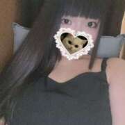 ヒメ日記 2025/05/09 22:51 投稿 ねこ ぽっちゃりきぶん