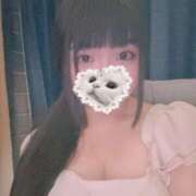 ヒメ日記 2025/05/10 17:46 投稿 ねこ ぽっちゃりきぶん