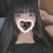 ヒメ日記 2025/05/17 11:39 投稿 ねこ ぽっちゃりきぶん