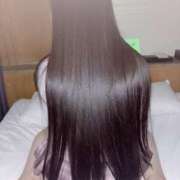 ヒメ日記 2025/05/19 17:36 投稿 ねこ ぽっちゃりきぶん