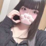 ヒメ日記 2025/05/20 22:10 投稿 ねこ ぽっちゃりきぶん