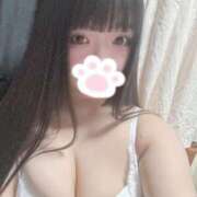 ヒメ日記 2025/05/31 14:57 投稿 ねこ ぽっちゃりきぶん