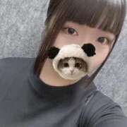 ヒメ日記 2025/06/01 23:20 投稿 ねこ ぽっちゃりきぶん