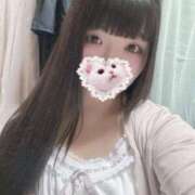 ヒメ日記 2025/06/02 15:07 投稿 ねこ ぽっちゃりきぶん