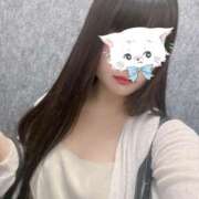 ヒメ日記 2025/06/10 15:03 投稿 ねこ ぽっちゃりきぶん