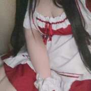 ヒメ日記 2025/06/10 19:53 投稿 ねこ ぽっちゃりきぶん