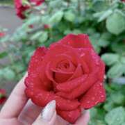 ヒメ日記 2025/06/14 11:45 投稿 ねこ ぽっちゃりきぶん