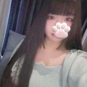 ヒメ日記 2025/06/19 18:09 投稿 ねこ ぽっちゃりきぶん