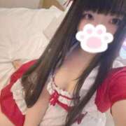 ヒメ日記 2025/06/24 10:00 投稿 ねこ ぽっちゃりきぶん