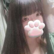 ヒメ日記 2025/06/30 17:15 投稿 ねこ ぽっちゃりきぶん