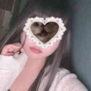 ヒメ日記 2025/07/03 16:56 投稿 ねこ ぽっちゃりきぶん