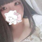 ヒメ日記 2025/07/04 17:15 投稿 ねこ ぽっちゃりきぶん