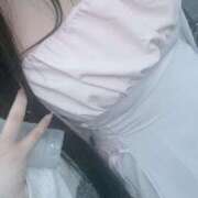 ヒメ日記 2025/07/07 00:15 投稿 ねこ ぽっちゃりきぶん