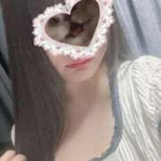 ヒメ日記 2025/07/15 16:53 投稿 ねこ ぽっちゃりきぶん