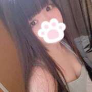 ヒメ日記 2025/07/17 05:22 投稿 ねこ ぽっちゃりきぶん