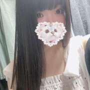 ヒメ日記 2025/07/19 14:06 投稿 ねこ ぽっちゃりきぶん