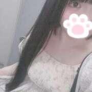 ヒメ日記 2025/07/26 17:06 投稿 ねこ ぽっちゃりきぶん