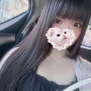 ヒメ日記 2025/07/27 17:02 投稿 ねこ ぽっちゃりきぶん