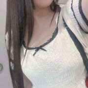 ヒメ日記 2025/07/28 17:05 投稿 ねこ ぽっちゃりきぶん