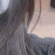 ヒメ日記 2025/08/05 15:49 投稿 ねこ ぽっちゃりきぶん