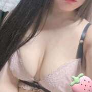 ヒメ日記 2025/08/07 17:03 投稿 ねこ ぽっちゃりきぶん