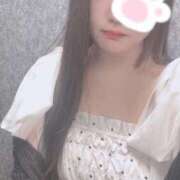 ヒメ日記 2025/08/11 16:11 投稿 ねこ ぽっちゃりきぶん