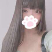 ヒメ日記 2025/08/15 15:03 投稿 ねこ ぽっちゃりきぶん