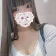 ヒメ日記 2025/08/25 17:02 投稿 ねこ ぽっちゃりきぶん