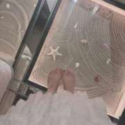 ヒメ日記 2025/08/26 03:47 投稿 ねこ ぽっちゃりきぶん