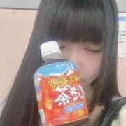 ヒメ日記 2025/08/27 21:03 投稿 ねこ ぽっちゃりきぶん