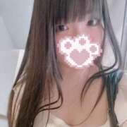 ヒメ日記 2025/09/01 16:59 投稿 ねこ ぽっちゃりきぶん