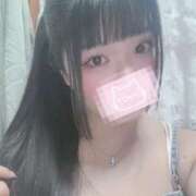 ヒメ日記 2025/09/05 17:01 投稿 ねこ ぽっちゃりきぶん