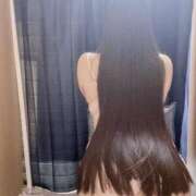 ヒメ日記 2025/09/10 17:05 投稿 ねこ ぽっちゃりきぶん