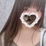 ヒメ日記 2025/09/22 15:16 投稿 ねこ ぽっちゃりきぶん