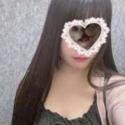 ヒメ日記 2025/09/23 17:14 投稿 ねこ ぽっちゃりきぶん